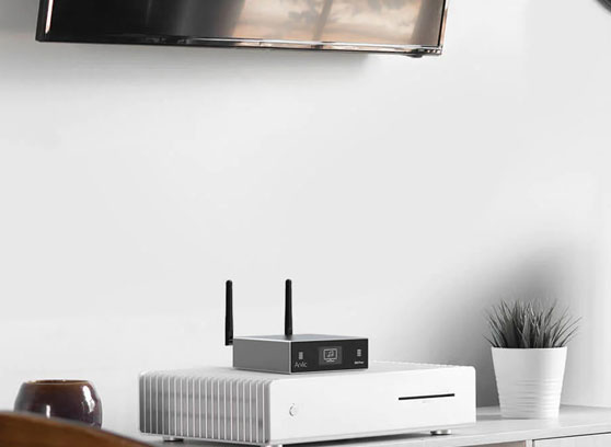 Arylic S50 Pro+ - cecha 1